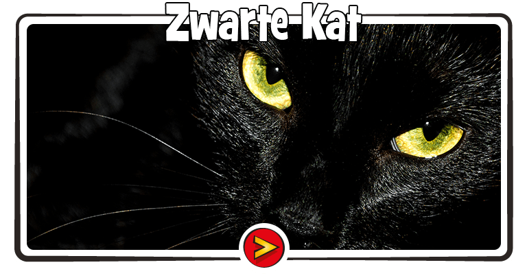 Zwarte Kat