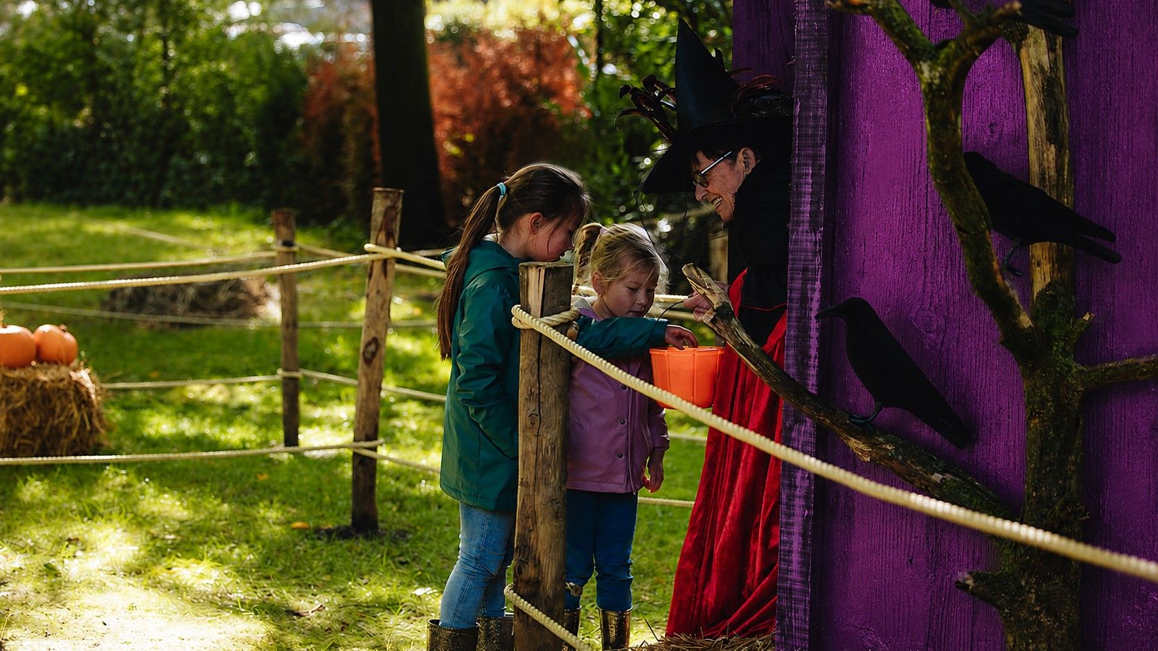 trick or treat 2 1200 x 676