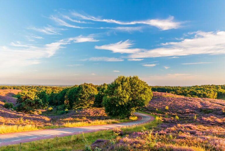 Dagje uit in de zomer op de Veluwe tips