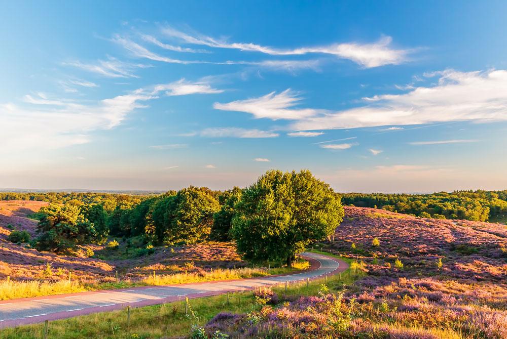 Dagje uit in de zomer op de Veluwe tips
