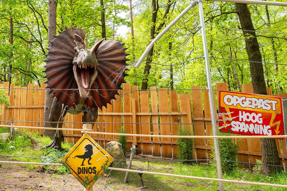 Dinotrail 2 1000 x 667