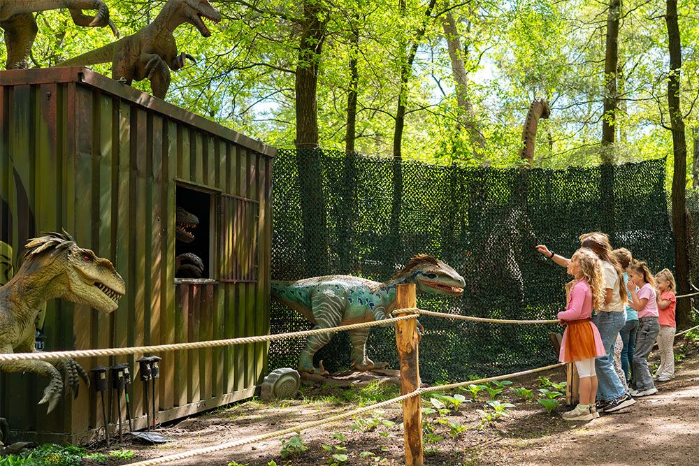Dinotrail 4 1000 x 667