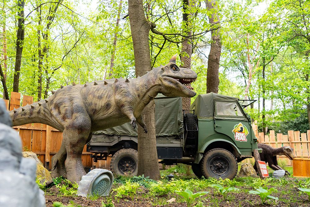 Dinotrail 5 1000 x 667