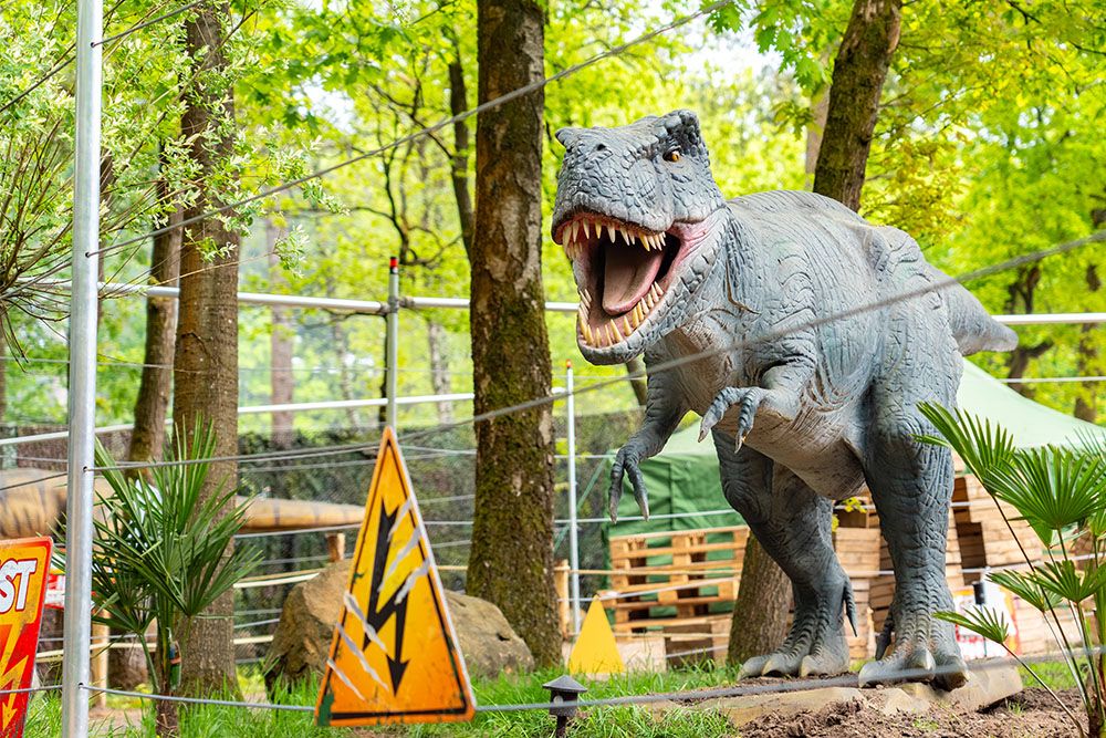 Dinotrail 6 1000 x667