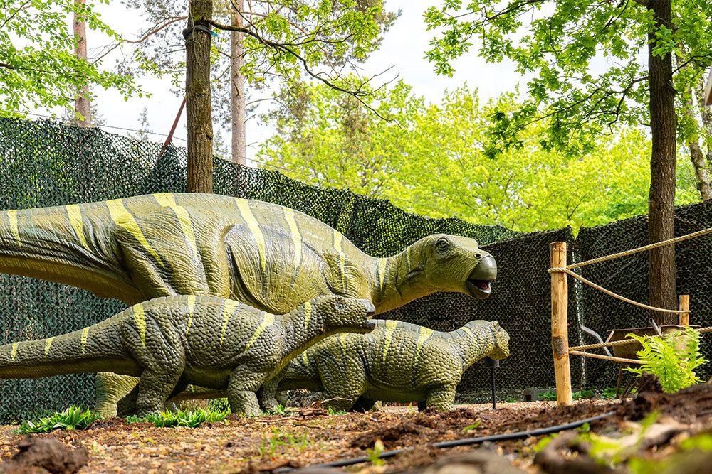 Dinotrail 7 1000 x 667