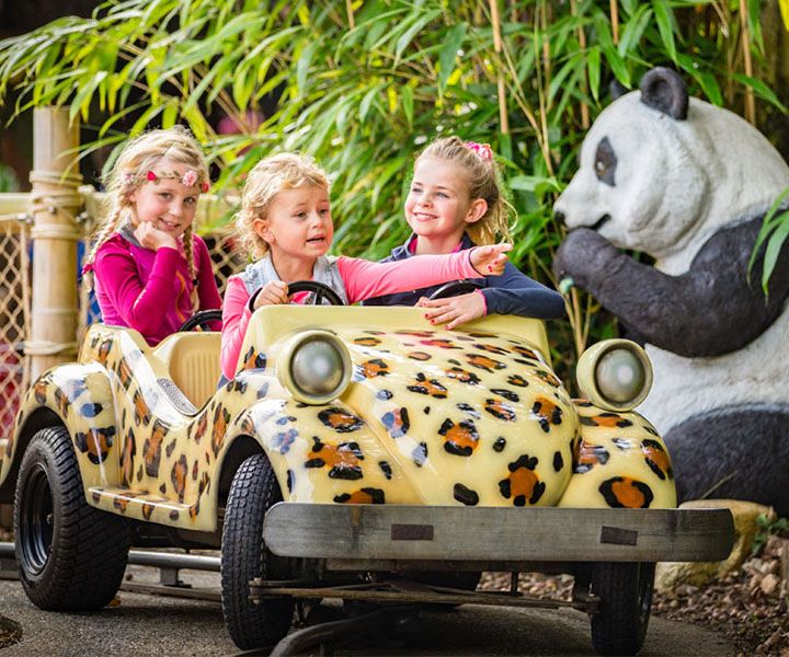 Kinderen rijden in de safari-auto tijdens hun schoolreisje